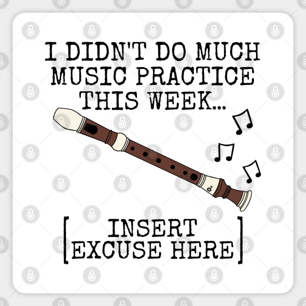 I Didn't Do Much Music Practice, Recorder Player Magnet by doodlerob